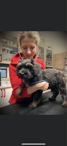 Noerager Animal Hospital Ltd. in Norager, Rebild
