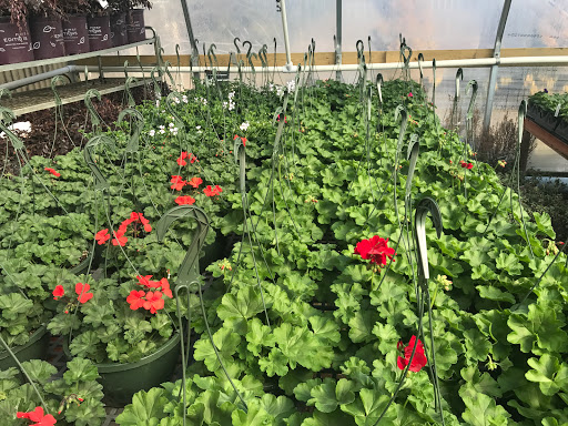 Garden Center «Lake Anna Nursery», reviews and photos, 71 Oak Grove Dr, Mineral, VA 23117, USA