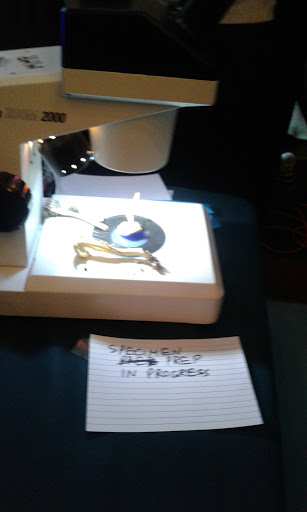 Golf Course «Mill Valley Golf Course», reviews and photos, 280 Buena Vista Ave, Mill Valley, CA 94941, USA