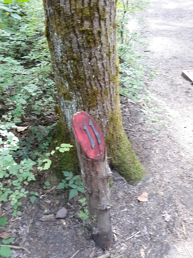 Public Golf Course «White River Disc Golf Course», reviews and photos, 2401 Stuck River Dr, Auburn, WA 98092, USA