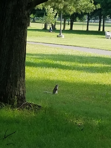 Park «Thomas A. Edison Park», reviews and photos, N Patrol Rd, Edison, NJ 08837, USA