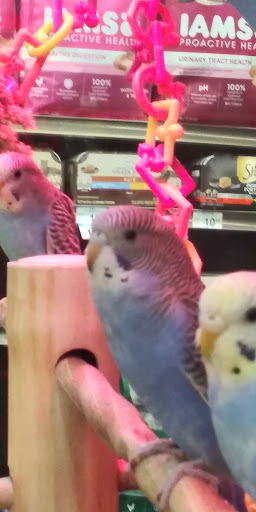 Pet Supply Store «Petco Animal Supplies», reviews and photos, 28400 Dequindre Rd, Warren, MI 48092, USA