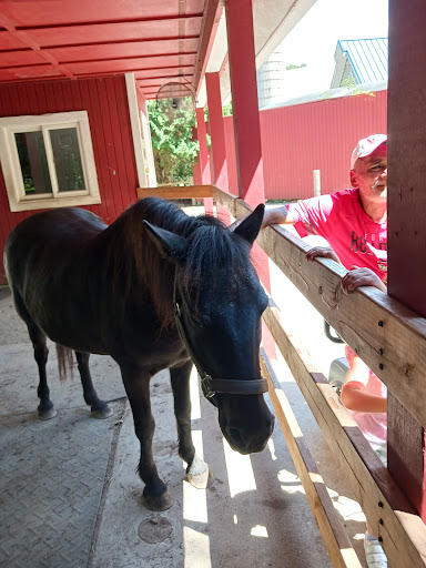 Zoo «Potter Park Zoo», reviews and photos, 1301 S Pennsylvania Ave, Lansing, MI 48912, USA