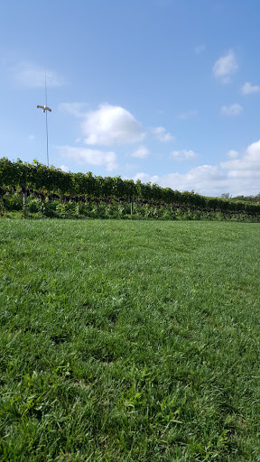 Winery «Dablon Vineyards & Winery», reviews and photos, 111 W Shawnee Rd, Baroda, MI 49101, USA