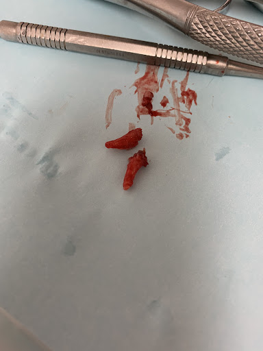New Smile Dental image