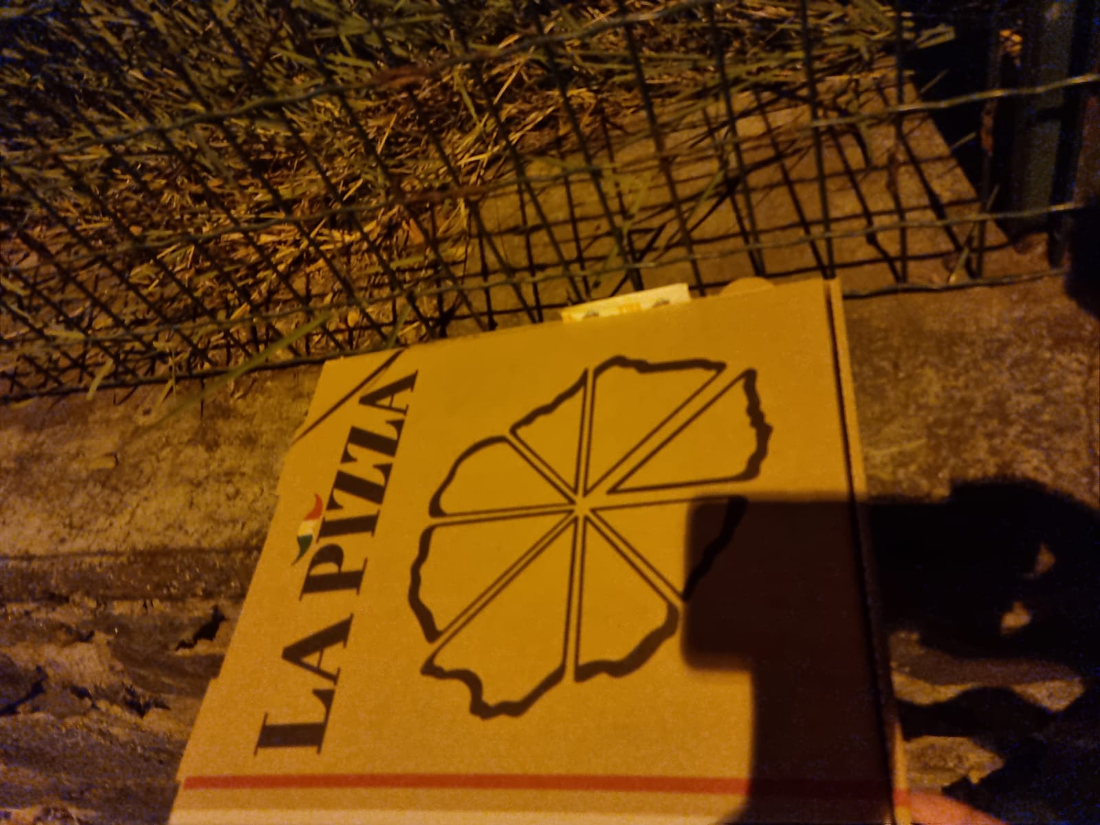 Photo n° 1 de l'avis de Pierre.e fait le 14/02/2023 à 17:14