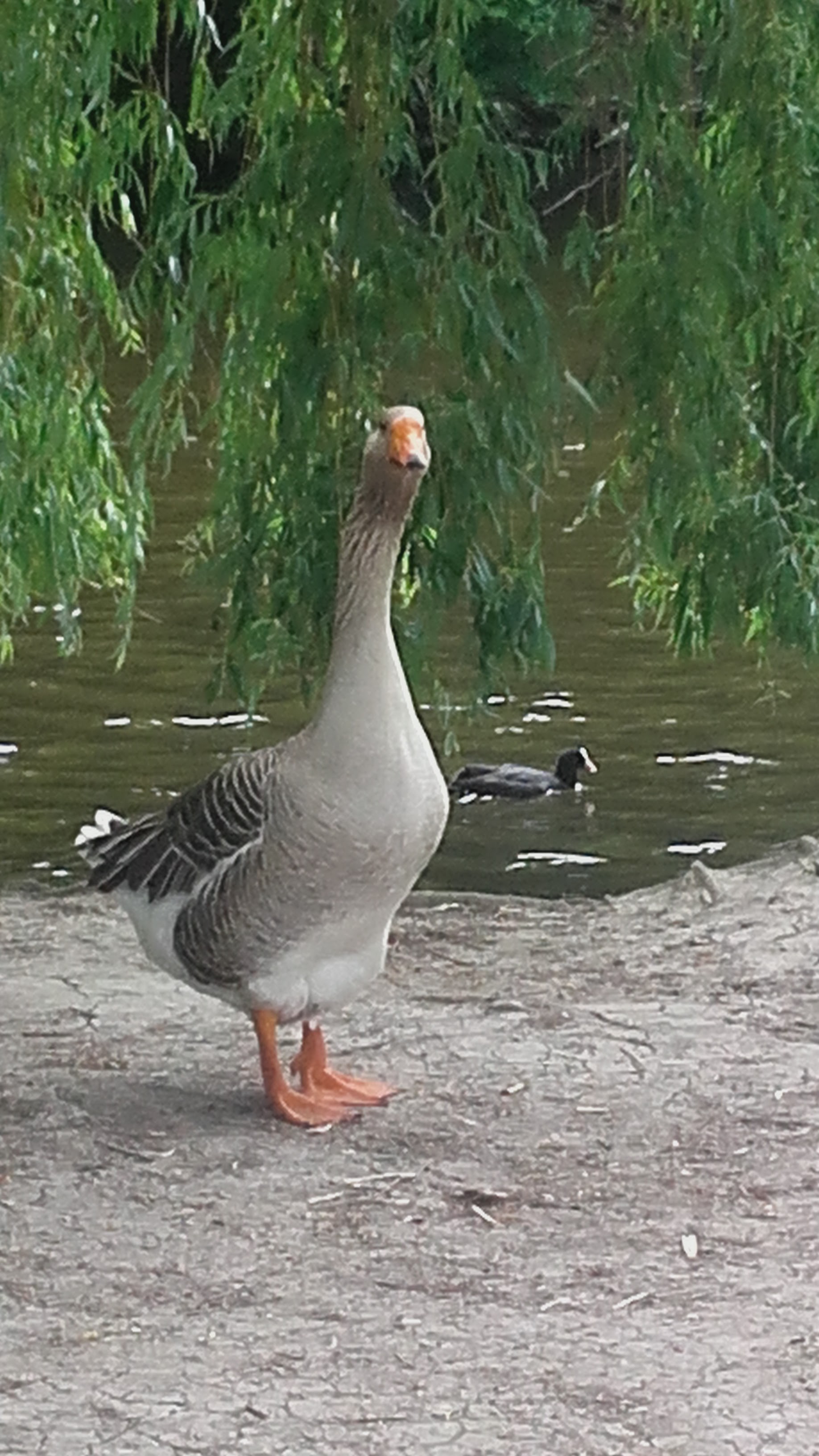 Photo n° 2 de l'avis de Nathalie.a fait le 30/05/2017 à 13:53
