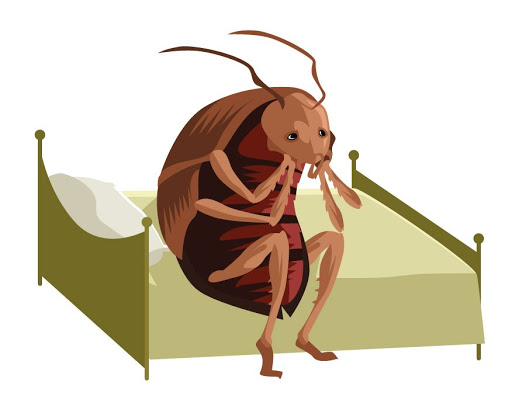Moat Termite & Pest Control image