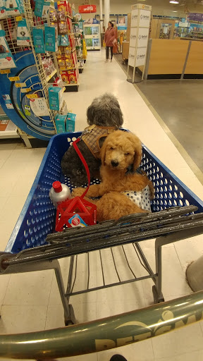 Pet Supply Store «PetSmart», reviews and photos, 1236 Greenbrier Pkwy, Chesapeake, VA 23320, USA