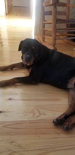 Auto Repair Shop «Katc Automotive llc», reviews and photos, 314 Old Millwood Rd, Rockwall, TX 75087, USA