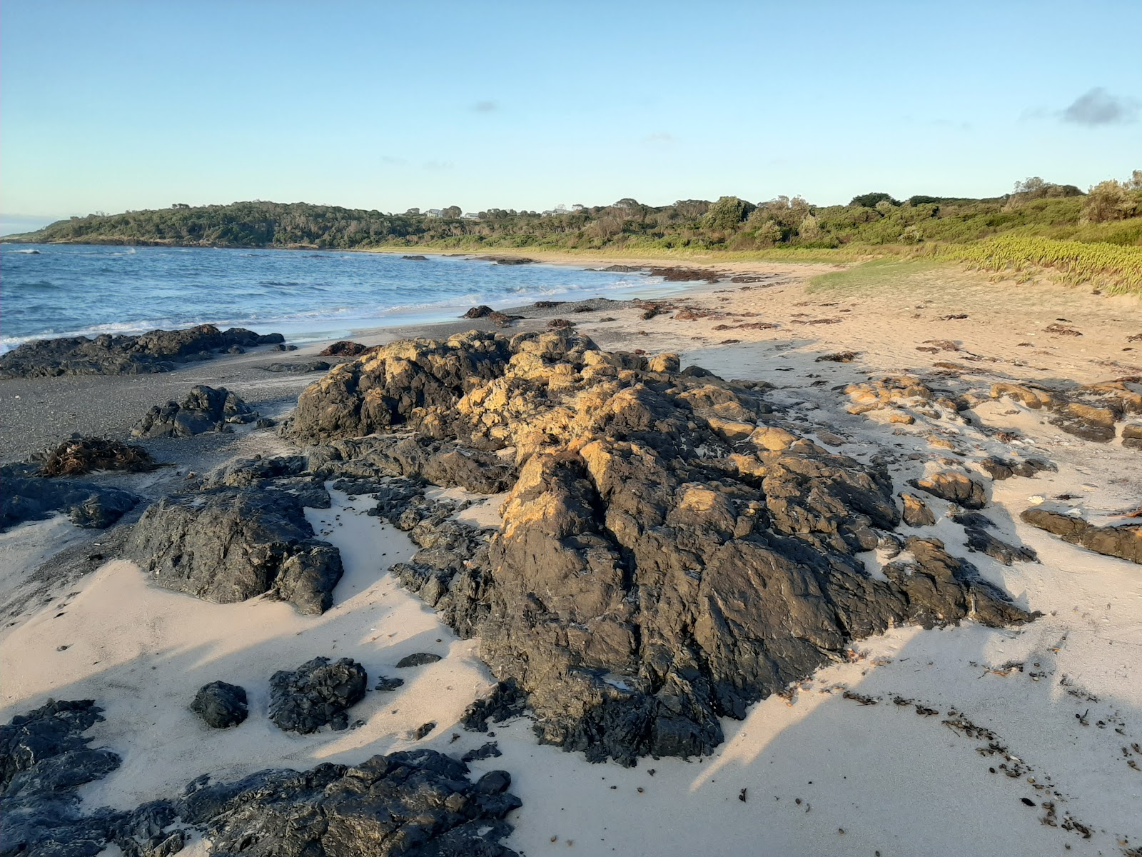 Maitland Beach photo #7