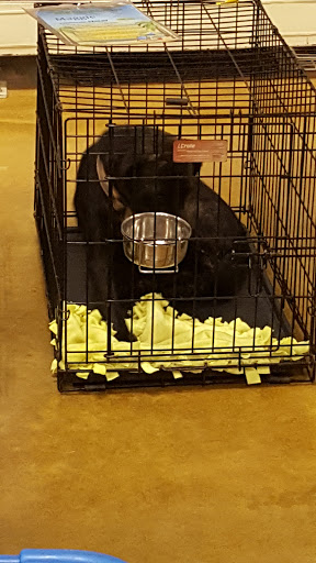 Pet Supply Store «PetSmart», reviews and photos, 2940 Chapel Hill Rd, Douglasville, GA 30135, USA