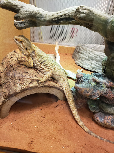 Pet Store «Animal Ark», reviews and photos, 175 S 500 E St, American Fork, UT 84003, USA