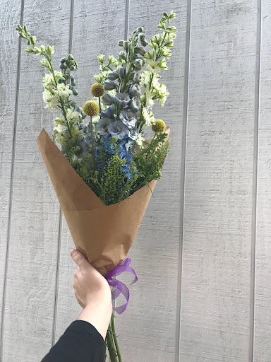 Florist «Kathy and Company Florist», reviews and photos, 221 Colchester Ave, Burlington, VT 05401, USA