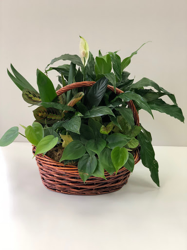 Florist «Flowers By Rose», reviews and photos, 3766 US-17 #101, Richmond Hill, GA 31324, USA