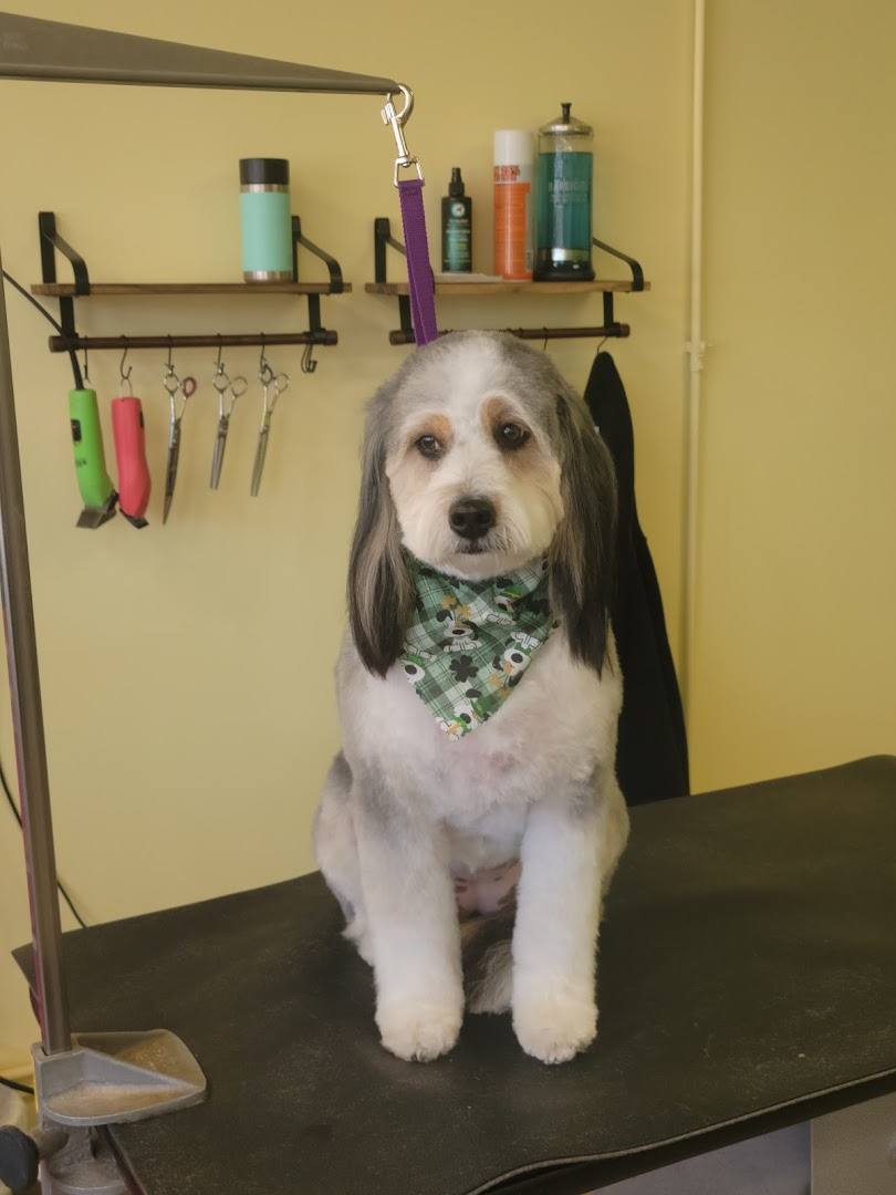Pawfect Styles Pet Grooming