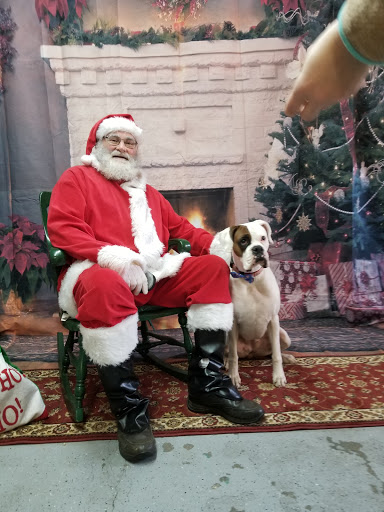 Pet Supply Store «Cheshire Cat & Dog Too», reviews and photos, 1320 Waterbury Rd, Cheshire, CT 06410, USA