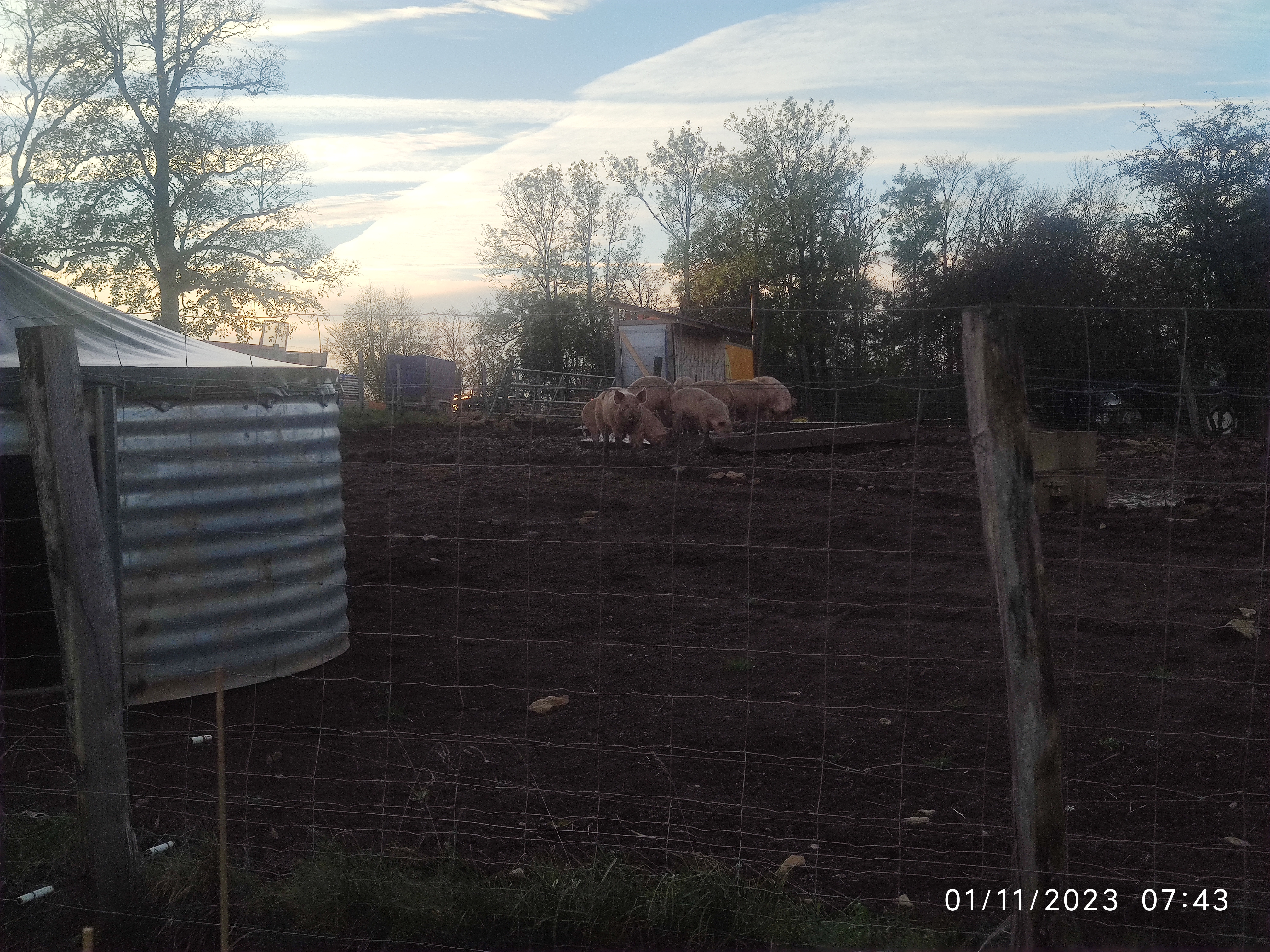 Photo n° 28 de l'avis de Patrick.i fait le 12/12/2023 à 10:07