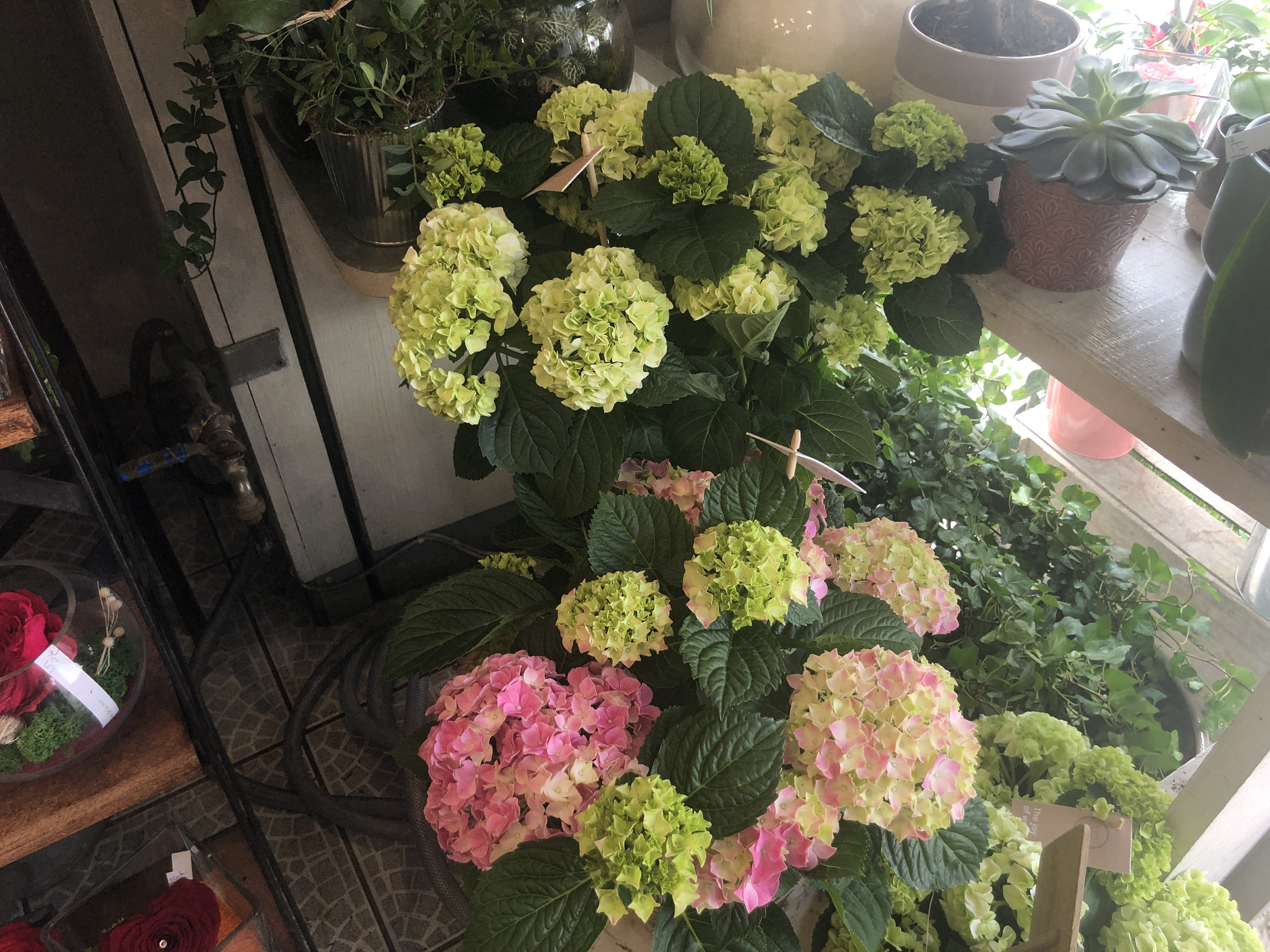 Photo n° 2 de l'avis de Hang.h fait le 18/07/2019 à 10:00