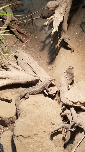 Zoo «Monkey Island», reviews and photos, 8 E 23rd Ave, Denver, CO 80205, USA