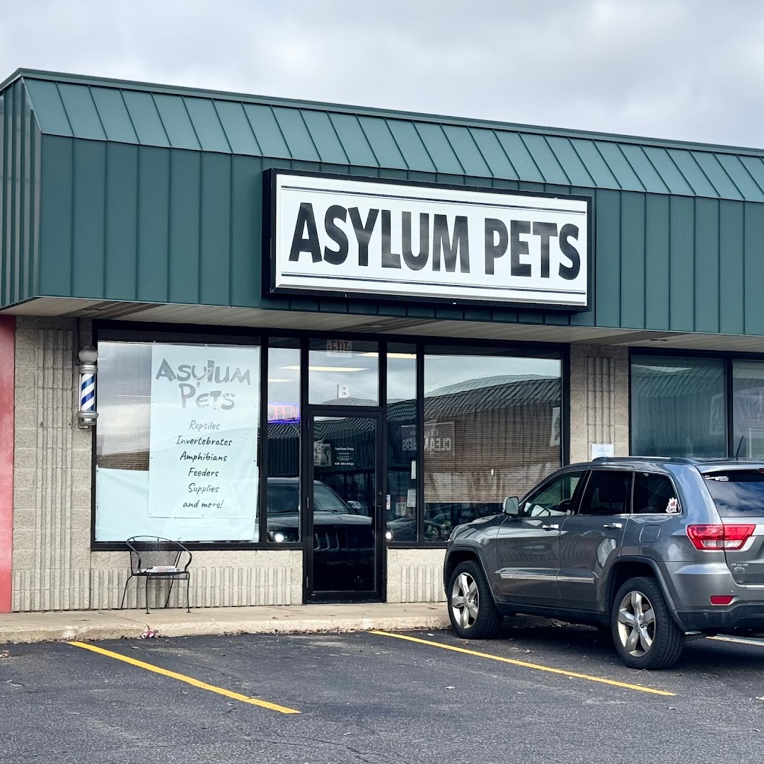 Asylum Pets