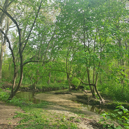 State Park «Valley Stream State Park», reviews and photos, Valley Stream State Park Rd, Valley Stream, NY 11580, USA