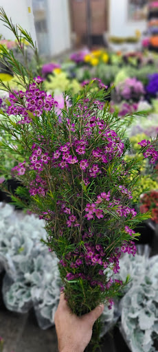 Florist «Berkeley Florist Supply Co Inc», reviews and photos, 2360 NW 23rd St, Miami, FL 33142, USA