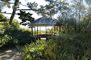 Arboretum Lussich image