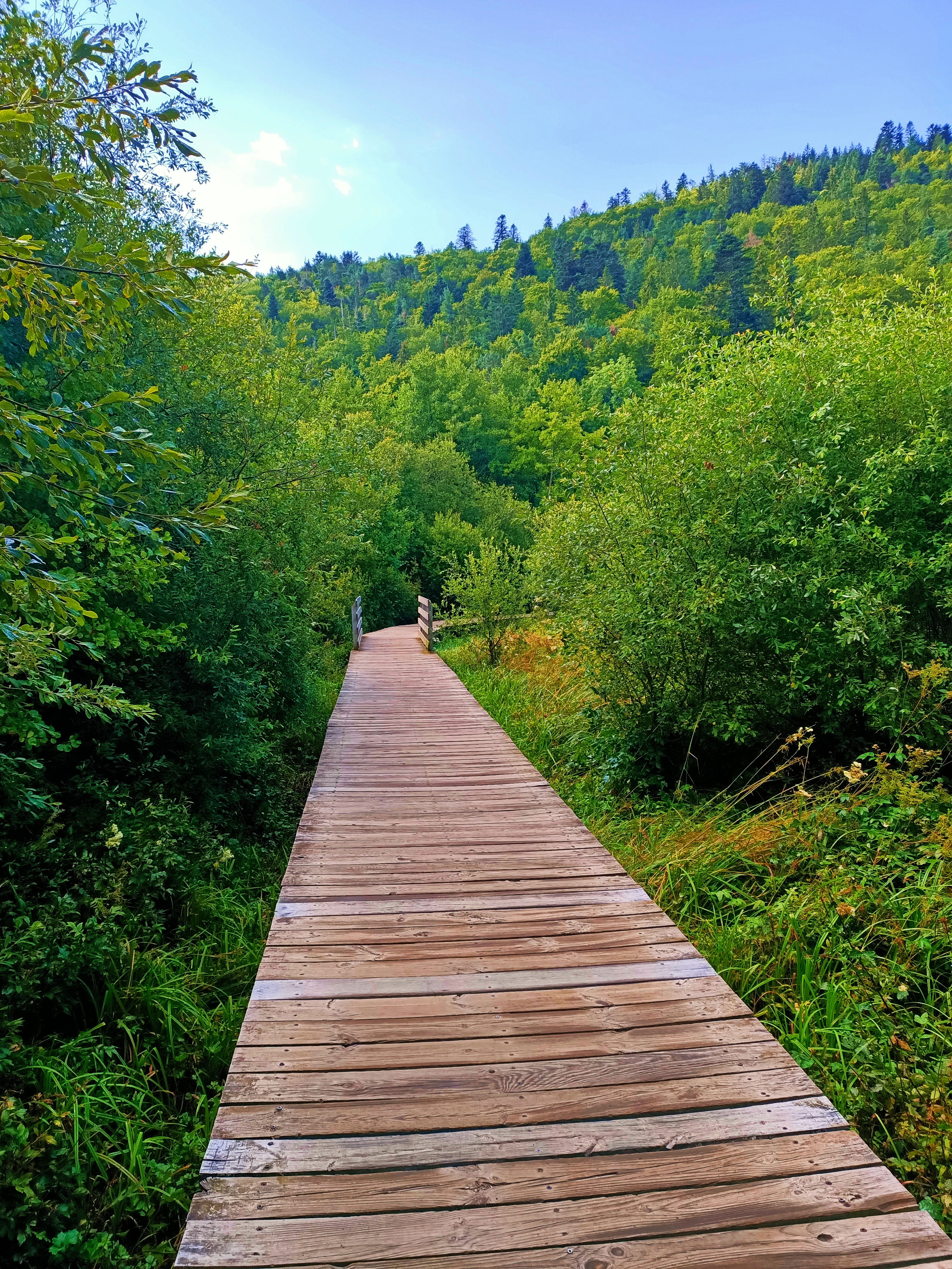 Photo n° 3 de l'avis de Agnès.a fait le 17/08/2021 à 15:31