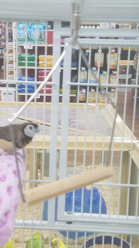Pet Supply Store «Pet Supermarket», reviews and photos, 2449 S Hiawassee Rd, Orlando, FL 32835, USA