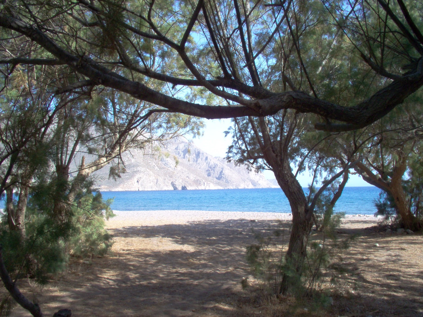 Zdjęcie Eristos beach obszar udogodnień