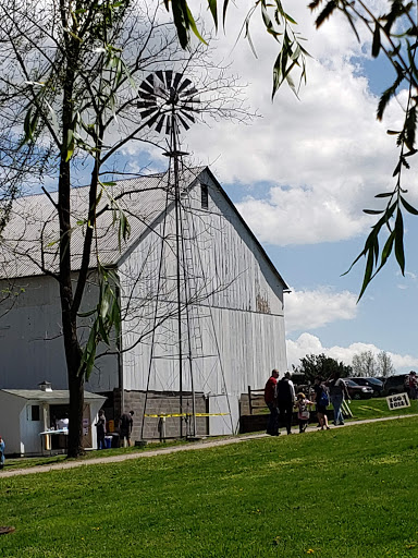 Park «Rose Hill Manor Park», reviews and photos, 1611 N Market St, Frederick, MD 21701, USA