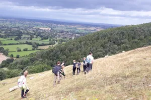 Shropshire Wildlife Trust image