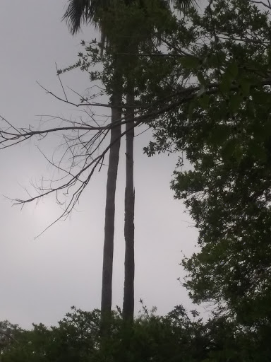 Nature Preserve «McAllen Nature Center», reviews and photos, 4101 U.S. 83 Business, McAllen, TX 78501, USA