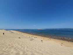 Valokuva Dune du Pilatista. villi alue