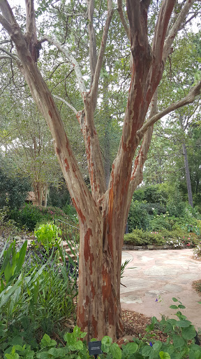 Golf Course «Azalea City Golf Course», reviews and photos, 1000 Gaillard Dr, Mobile, AL 36608, USA