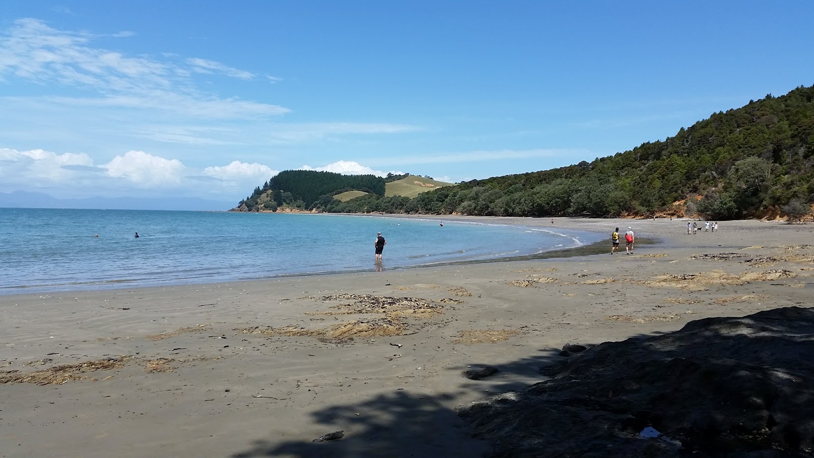 Foto av Tawhitokino Beach med lång rak strand