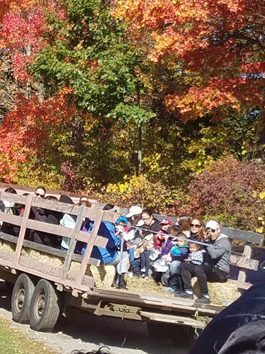 Orchard «George Hill Orchards», reviews and photos, 582 George Hill Rd, South Lancaster, MA 01561, USA