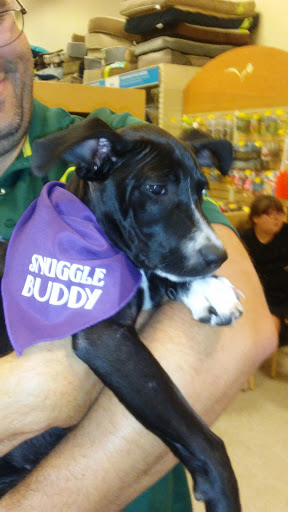 Pet Supply Store «PetSmart», reviews and photos, 2500 Posner Blvd, Davenport, FL 33837, USA