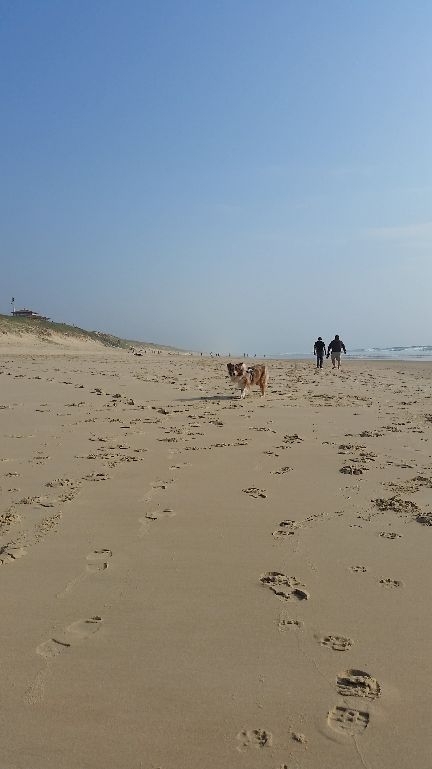Photo n° 5 de l'avis de Kastanyka.y fait le 06/05/2018 à 11:49