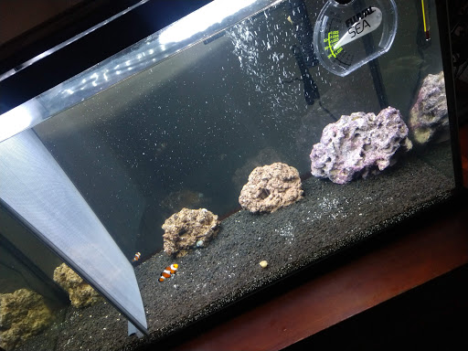 Pet Supply Store «Petco Animal Supplies», reviews and photos, 3680 Spencer Hwy, Pasadena, TX 77504, USA