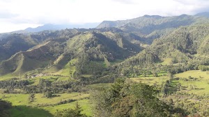 SALENTOUR CAFETERO - photo 1