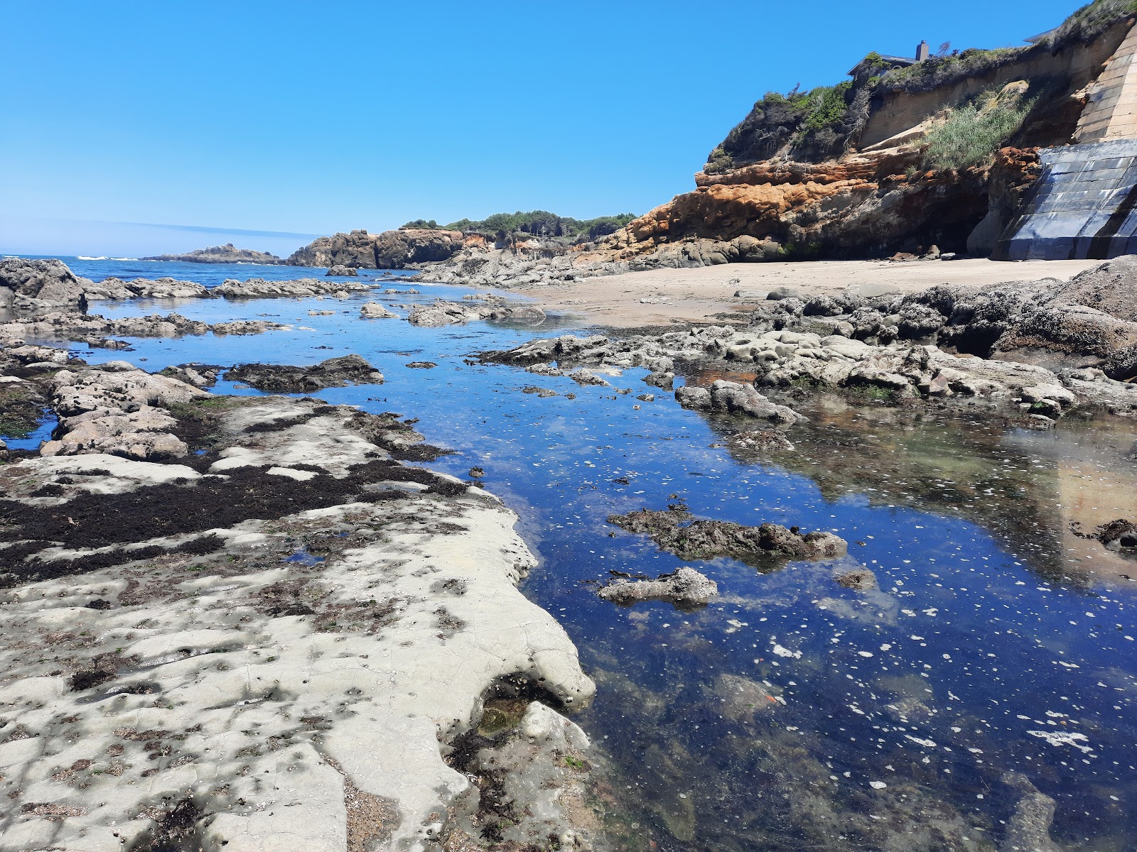 Photo of Fogarty Creek Beach and the settlement