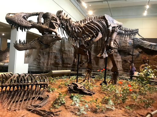 Art Museum «Carnegie Museum of Art», reviews and photos, 4400 Forbes Ave, Pittsburgh, PA 15213, USA