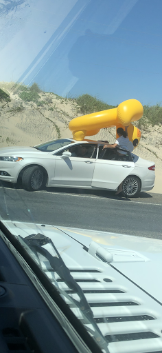 Explore manta ray tattoo ideas, creative tattoo ideas in South Padre Island, available at Peggys Temporary & Permanent Tattoos