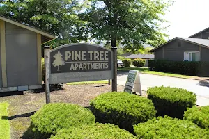 Pine Tree Apartments image