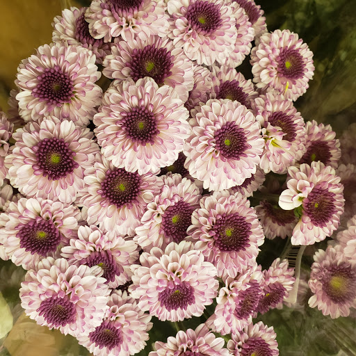 Grocery Store «ACME Markets», reviews and photos, 4720 Limestone Rd, Wilmington, DE 19808, USA