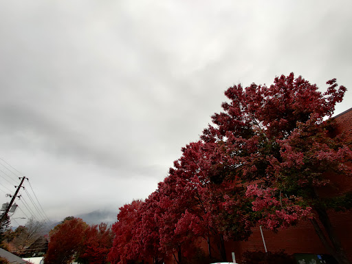 General Store «Mast General Store Waynesville», reviews and photos, 63 N Main St, Waynesville, NC 28786, USA