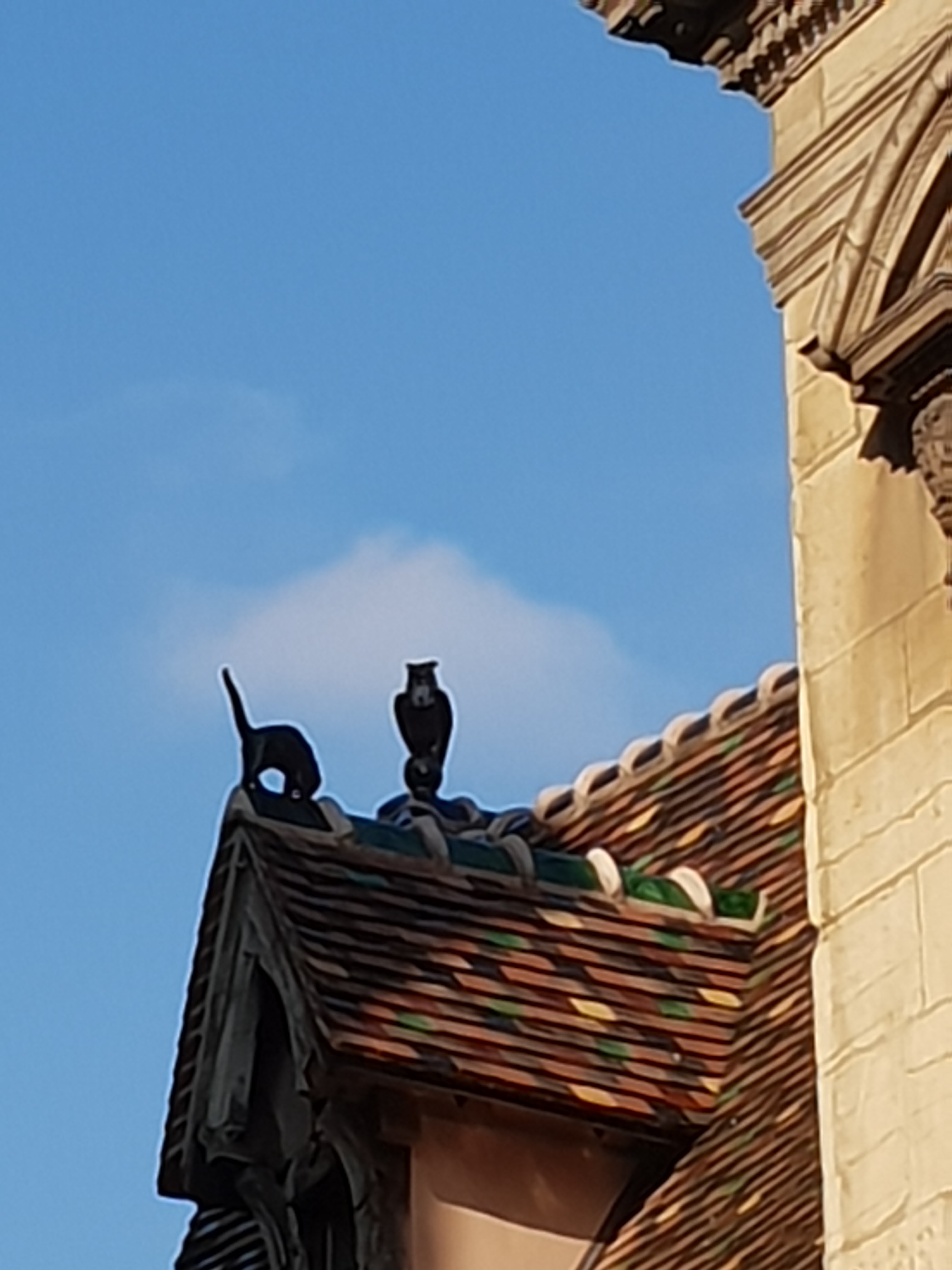 Photo n° 4 de l'avis de Jacques.e fait le 18/11/2018 à 11:34
