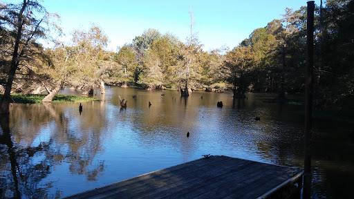 Park «Leake County Water Park», reviews and photos, 1190 Park Rd, Lena, MS 39094, USA